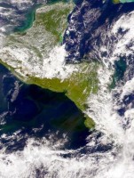 Phytoplankton in Costa rica