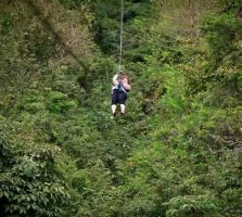Zip Line