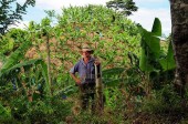 costa rica colombia free trade agreement