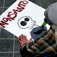 An anti-GMO activist in San Francisco. Source: Wikimedia Commons