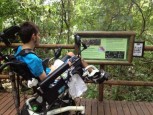 Accessible trails at Carara National Park, courtesy of Wikimedia Commons
