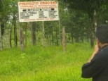 Alleged Greenwashing by Infinito Gold