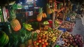 Fruit Stand in Guanacaste