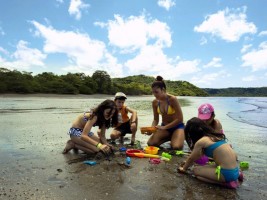 Source: Allegro Papagayo