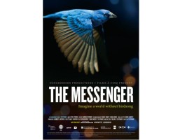 BirdSongSOS.com