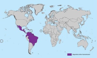 Zika map. Source: CDC
