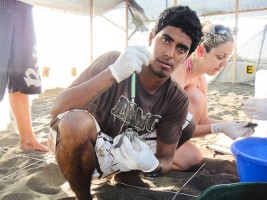 Costa Rican environmentalist Jairo Mora was murdered in 2013. (ARCHIVE / Photo courtesy of WIDECAST)