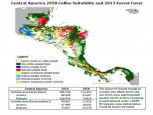 Coffee Forest Land Costa Rica