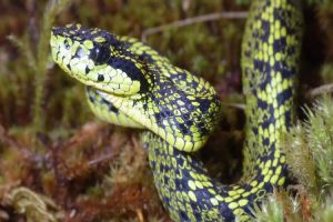 Source:  EurekAlert and University of Central Florida