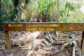 Crocodile warning sign.