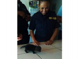 Source: MSP