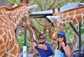 Ponderosa Animal Park, source Facebook.