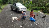 Animals such as these dogs left behind during an evacuation in Bagaces suffer and die in natural disasters too. The country's National Animal Service (Senasa) announced extended hours at their Heredia headquarters to tend to livestock owners with concerns related to Hurricane Otto.
