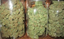 Medical Marijuana