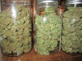 medical marijuana