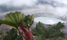 Costa Rica Tourism Sector