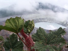 Wikimedia Commons