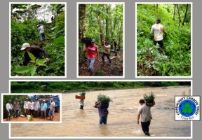 Jones Snowboards working in the Costa Rica rainforest