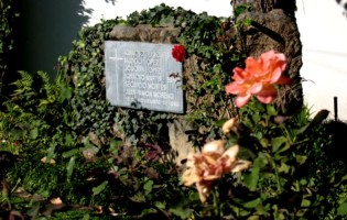 Roses now adorn the spot where the Jesuits were gunned down on the UCA's campus on Nov. 16, 1989. They were planted by Obdulio Ramos, husband to Julia Elba Ramos and father to Celina Ramos, who were killed along with the Jesuits. Photo by Charles Barry. Jesuits.org
