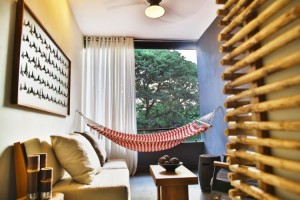 The Bark Suite at El Mangroove
