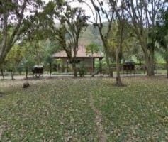 Ujarras 3