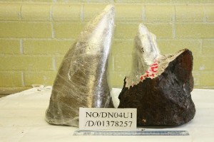 Confiscated rhino horns. Wikimedia Commons