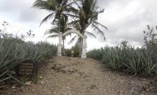 Cabuya Island Cemetery Costa Rica
