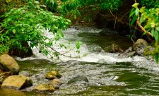 Costa Rica Rio Savegre