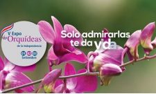 Costa Rica Orchid Expo