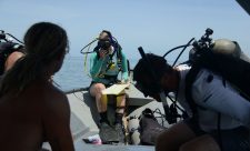 Costa Rica Diving Caribbean