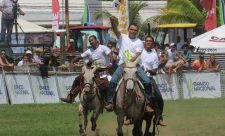 Costa Rican Traditions Mule Festival