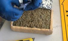 Costa Rica Marijuana Seized
