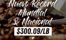 Costa Rican Coffee