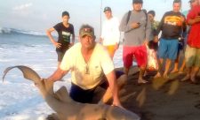 Shark Fishing Costa Rica,Fishing, Sport Fishing Costa Rica